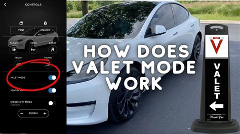 tesla valet mode model 3.